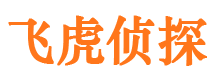 翠屏市婚外情调查